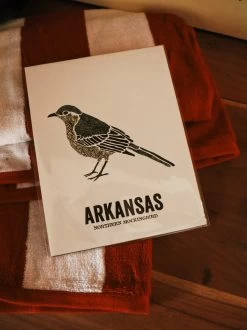 Northern Mockingbird Art Print - 8.5x11