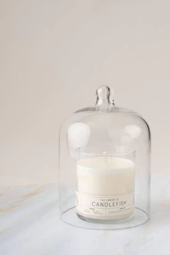 Glass Cloche -Fashion Home Store 4190401cf1ce83bdbfb3729c061791d52fcb79ac669b4dd0c524689222044e4c