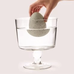 Mystery Growing Dino In Egg -Fashion Home Store 42821 20 2