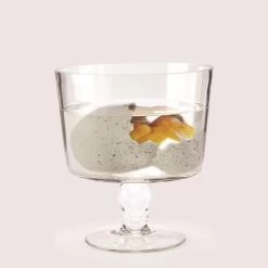 Mystery Growing Dino In Egg -Fashion Home Store 42821 20 4