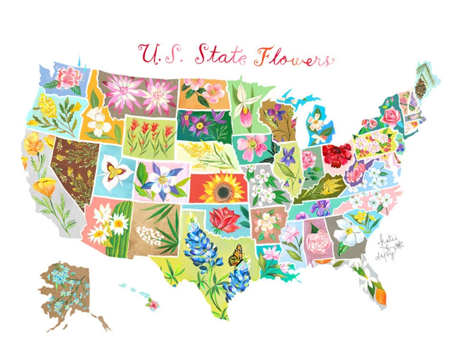 State Flowers Print 2 State Flowers Print - Image 2