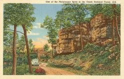 Ozark National Forest Art Print -Fashion Home Store 5d34d6288c5e329ec7b4cc483fdd07392f32fed2a5a9507032d64de76c765604 69ba995b 9bb9 4a51 86c8 9b205e4c5a56