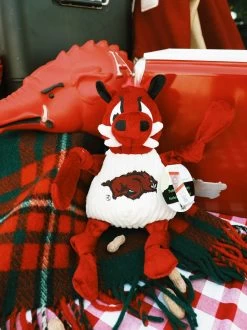 ArkansasTusk The Razorback Knottie⢠- Large