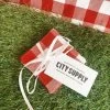 Red Gingham Coasters