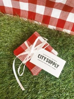 Red Gingham Coasters