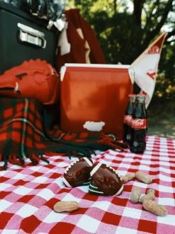 Arkansas Razorbacks Football Salt And Pepper Shakers