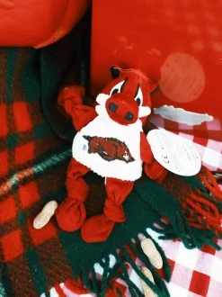 Arkansas Tusk The Razorback Knottie⢠Dog Toy - Small