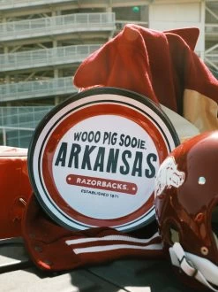 Arkansas Melamine Bowl