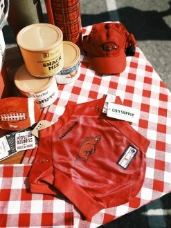 Arkansas Razorbacks Pet Stretch Jersey