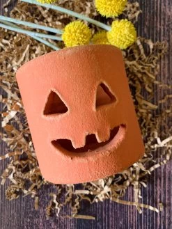 Mini Clay Jack-O-Lantern (PICK UP ONLY) -Fashion Home Store E5354383 A5BF 4DBB 8861 D6D4AB4EFB3B