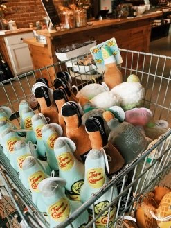 Topo Chiwawa Dog Toy -Fashion Home Store IMG 0566 362f8dc9 b1aa 497e b19e a9c0187f4230