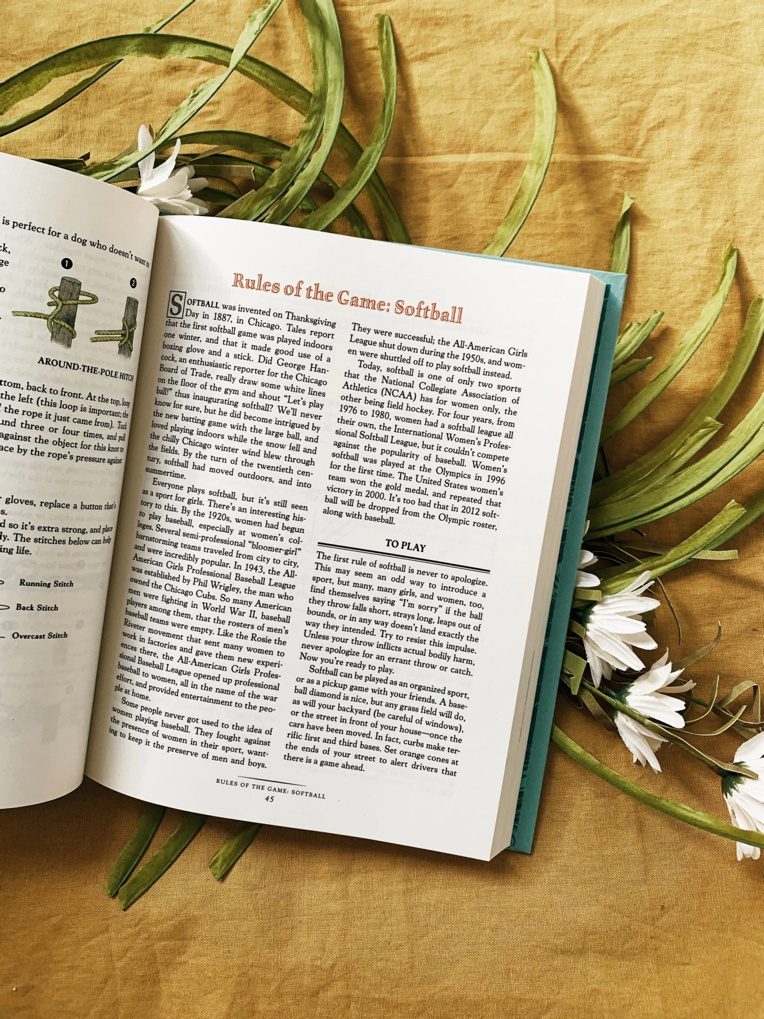 Harper Collins The Daring Book For Girls 4 Harper Collins The Daring Book For Girls - Image 4