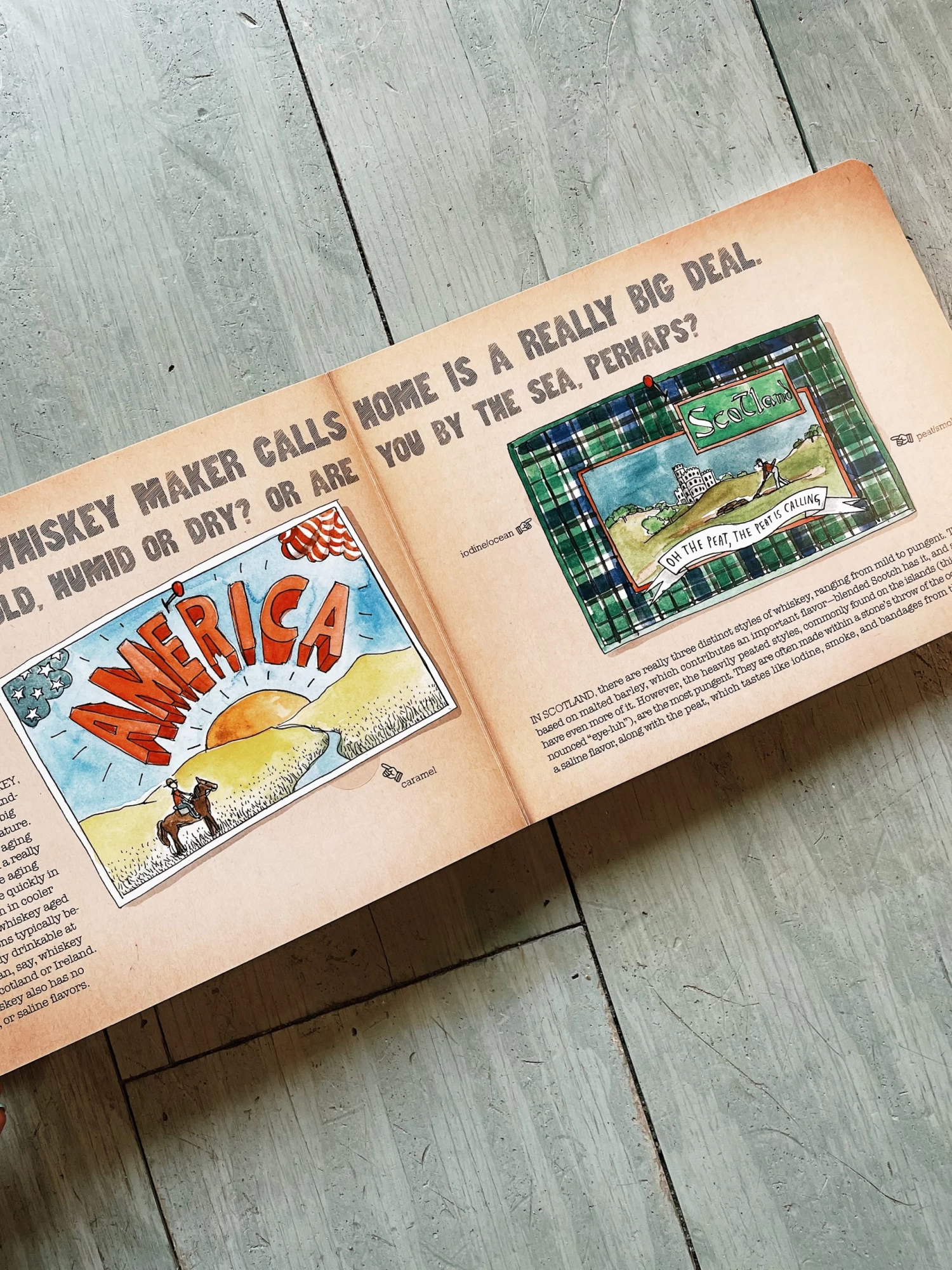 Harper Collins The Essential Scratch & Sniff Guide To Becoming A Whiskey Know-It-All 4 Harper Collins The Essential Scratch & Sniff Guide To Becoming A Whiskey Know-It-All - Image 4