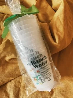 Ranch Water Recipe Reusable Cups - Pack Of 10 -Fashion Home Store IMG 8702