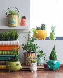 Terra-cotta Pig Planter -Fashion Home Store da1058a 4