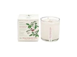 Wild Tomato Vine Candle -Fashion Home Store de2cedc1345b7599ee9b62665bbf83e1861afda8320a86bccbe00b4639107cef