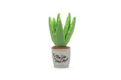 Aloe-ve You Plant Dog Toy -Fashion Home Store f50c4ad339dcf47922c47696ae10b4264698aa8b0483774cf7bdbc7e2754188c