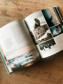 Let's Get Lost -Fashion Home Store image 0500eb62 7e6e 48fe b0d1 1400ea069f14