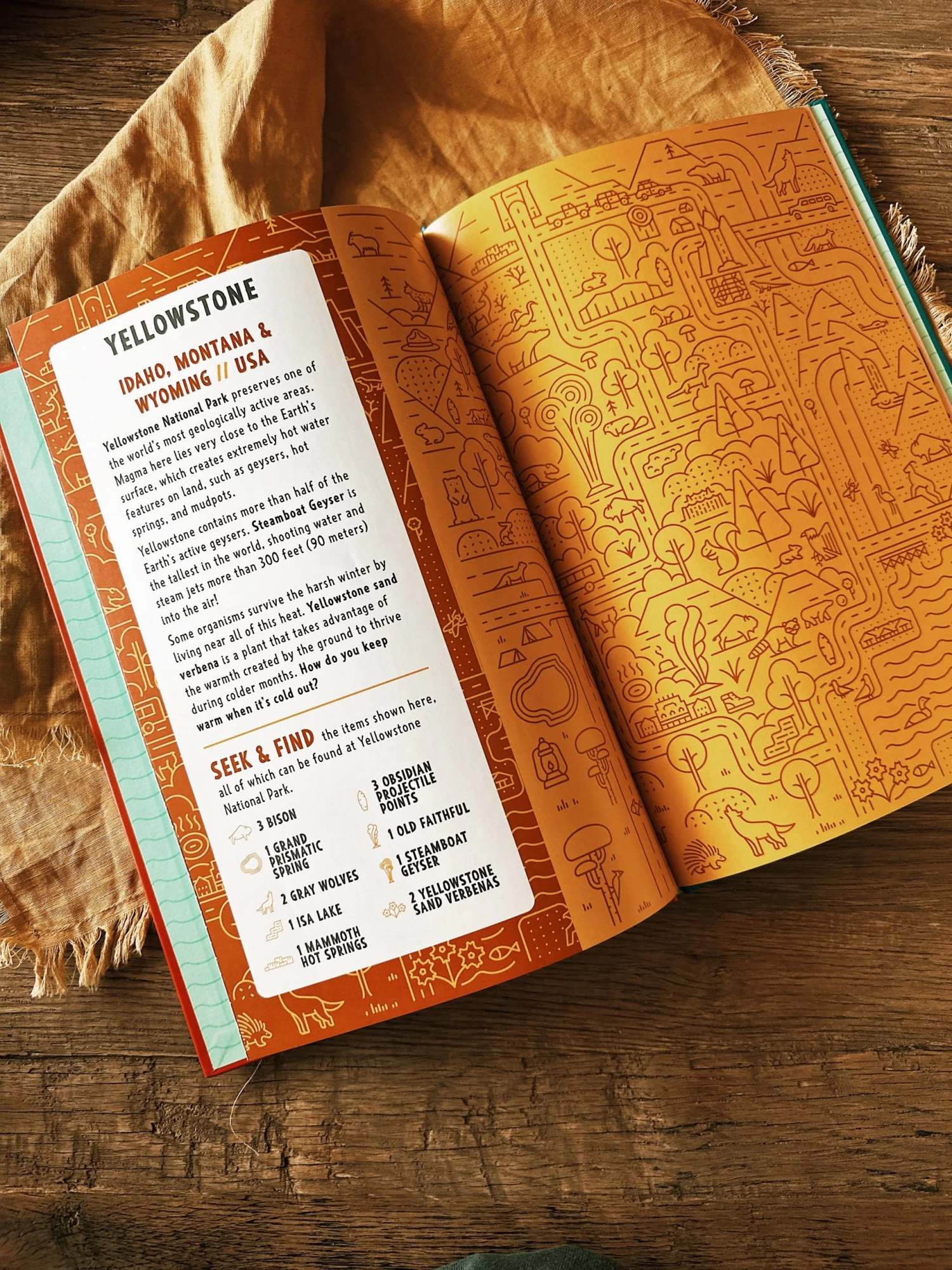 Seek & Find National Parks 4 Seek & Find National Parks - Image 4