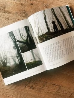 Let's Get Lost -Fashion Home Store image 3a975a95 5332 48c2 b4e6 add14604594d