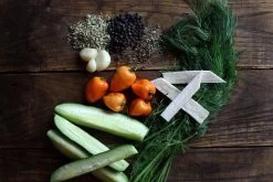 The Real Dill: Habanero Horseradish Dill Pickles -Fashion Home Store image 422fbae5 535a 4c54 a355 decb4ebfe05c