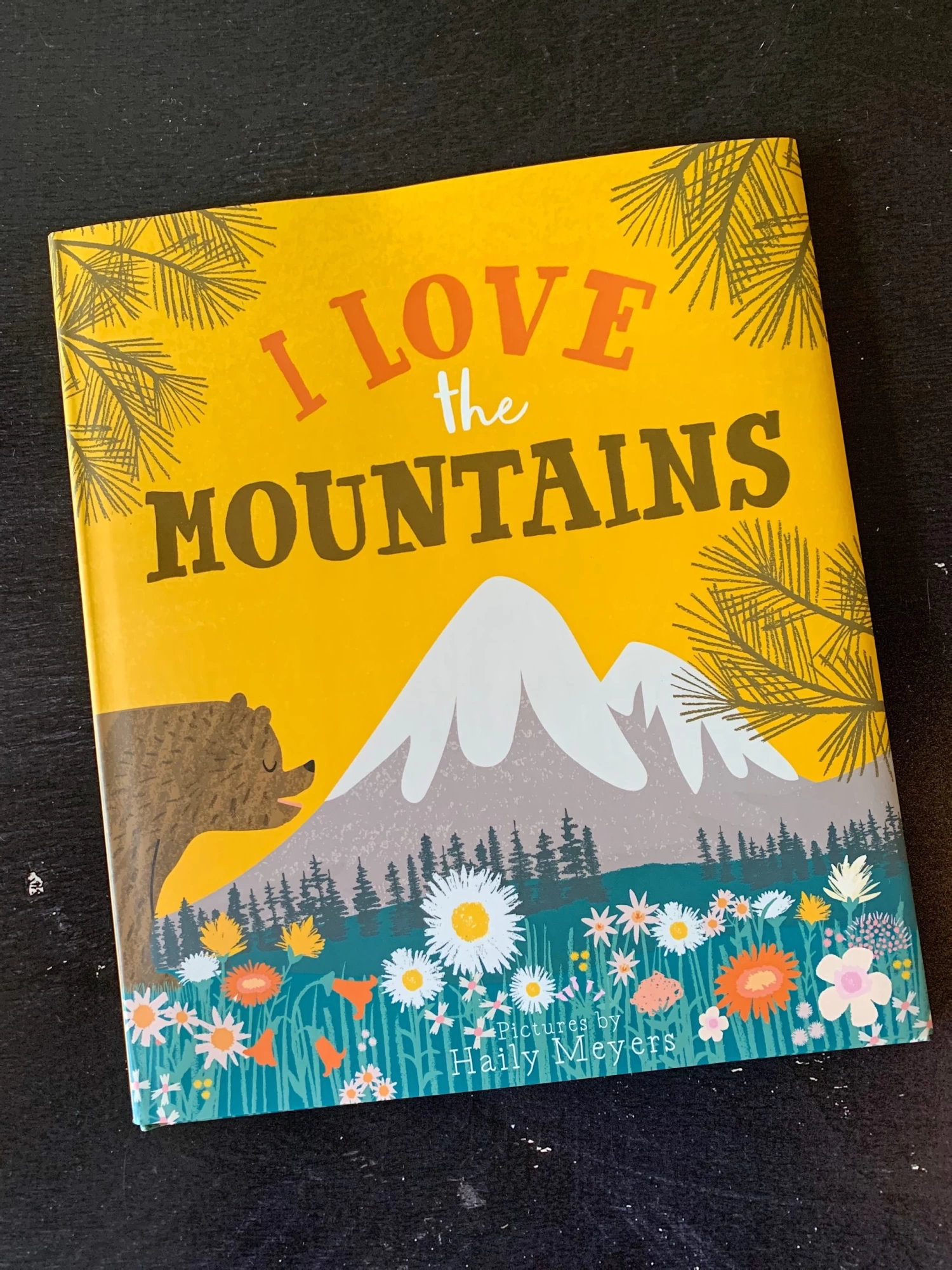 I Love The Mountains 2 I Love The Mountains - Image 2