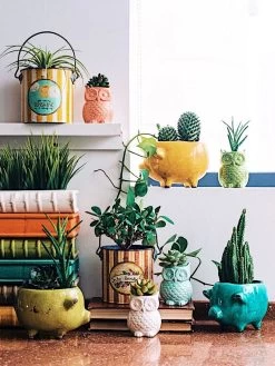 Terra-cotta Pig Planter