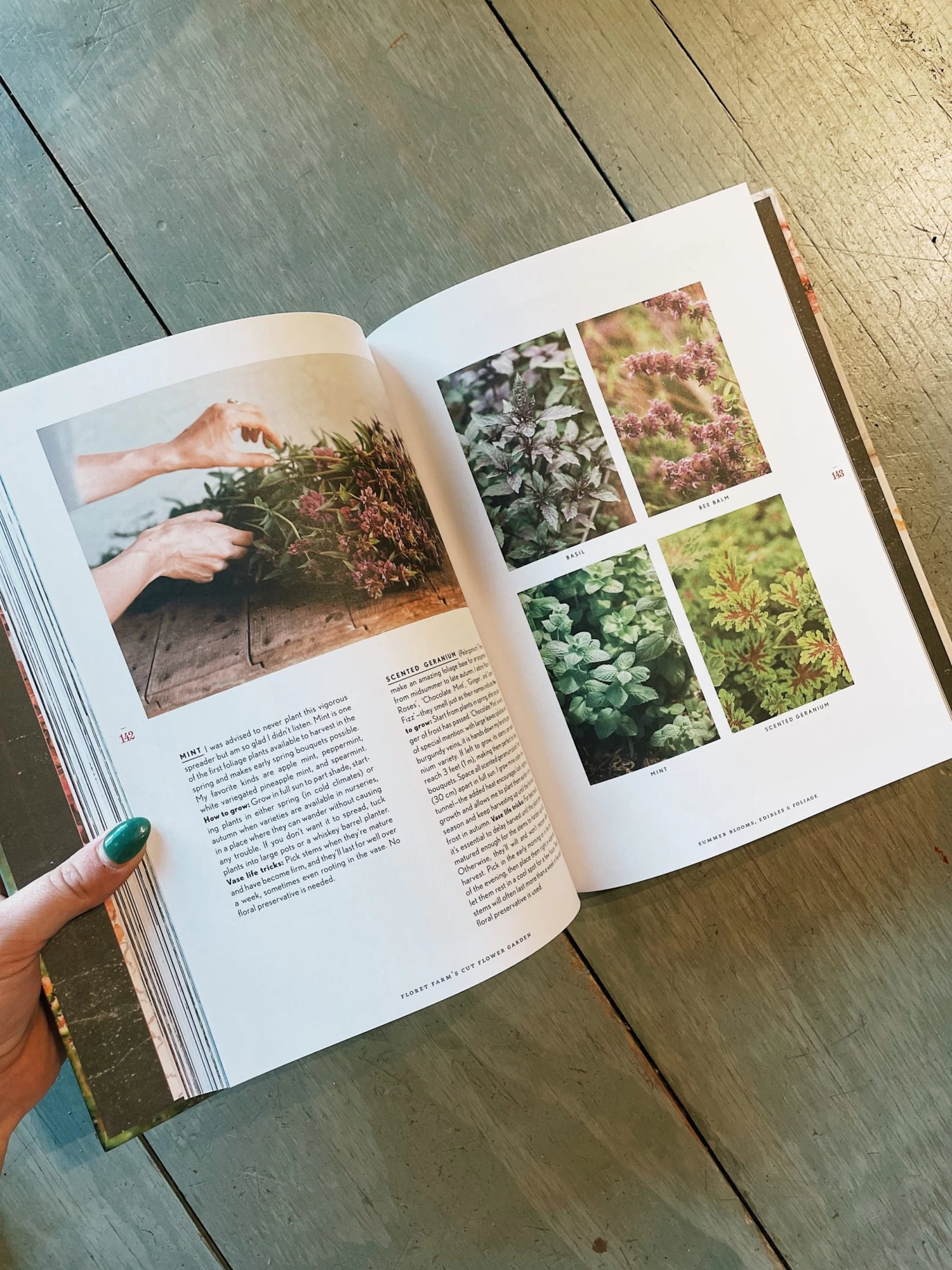 Chronicle Books Cut Flower Garden 2 Chronicle Books Cut Flower Garden - Image 2