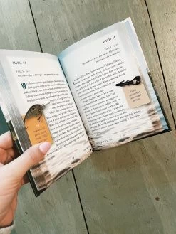 Catch A Better Life -Fashion Home Store image 8c7735bf c747 4fa6 bac6 20104467e456