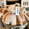 Plush Pig