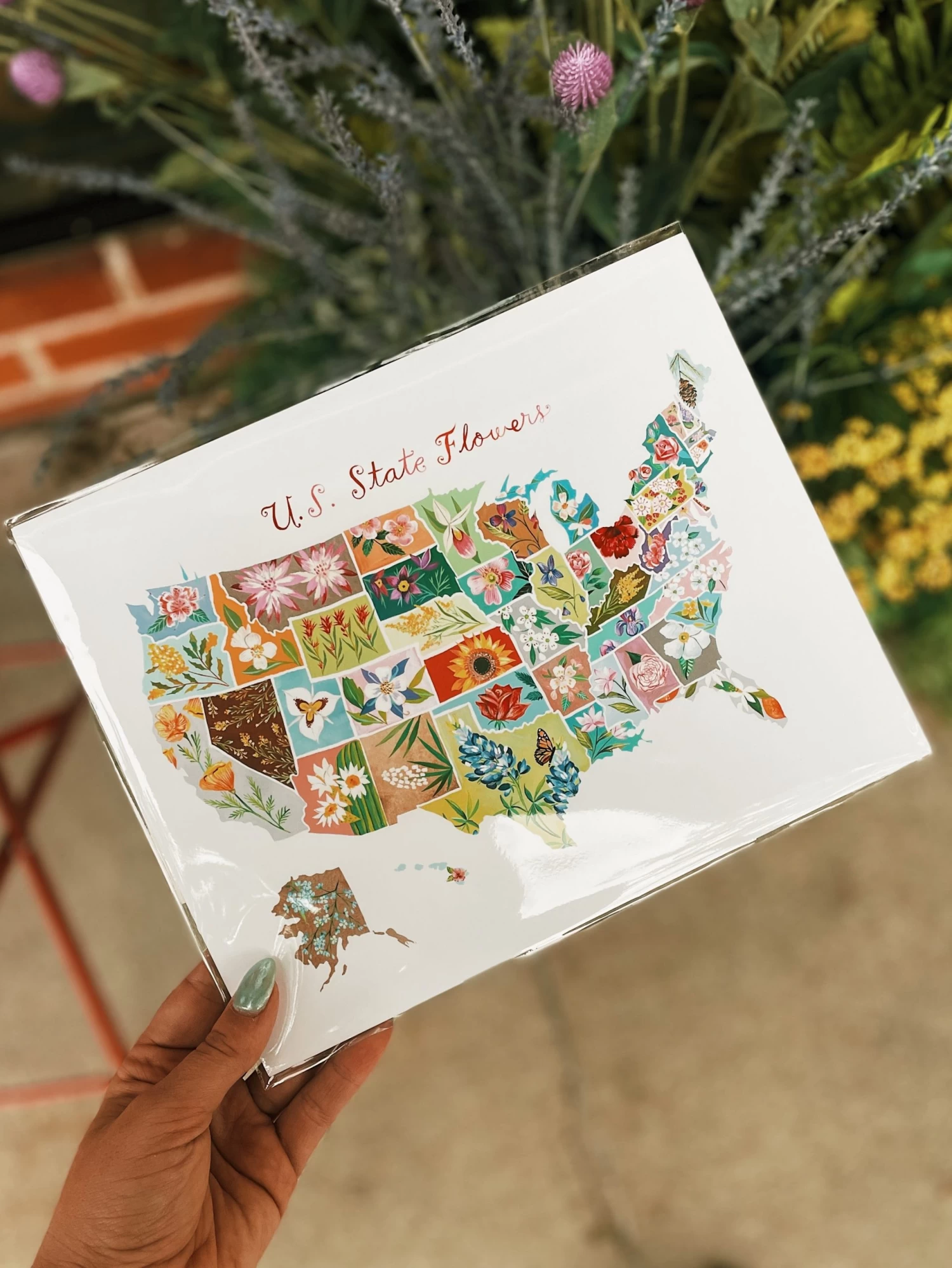 State Flowers Print 1 State Flowers Print