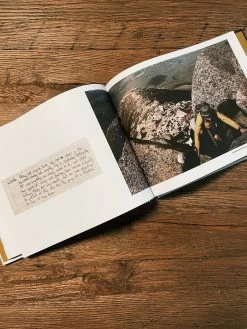 Hiker Trash: Notes, Sketches, And Other Detritus From The Appalachian Trail -Fashion Home Store image d2f0e62d 11c7 41ab 9c7f f47c72e1e213