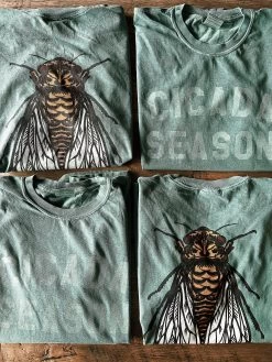 Cicada Season T-Shirt -Fashion Home Store image f22af3f7 217b 45c3 8b15 c4a99a8b8f44