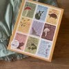 Flora & Fauna Facts Puzzle