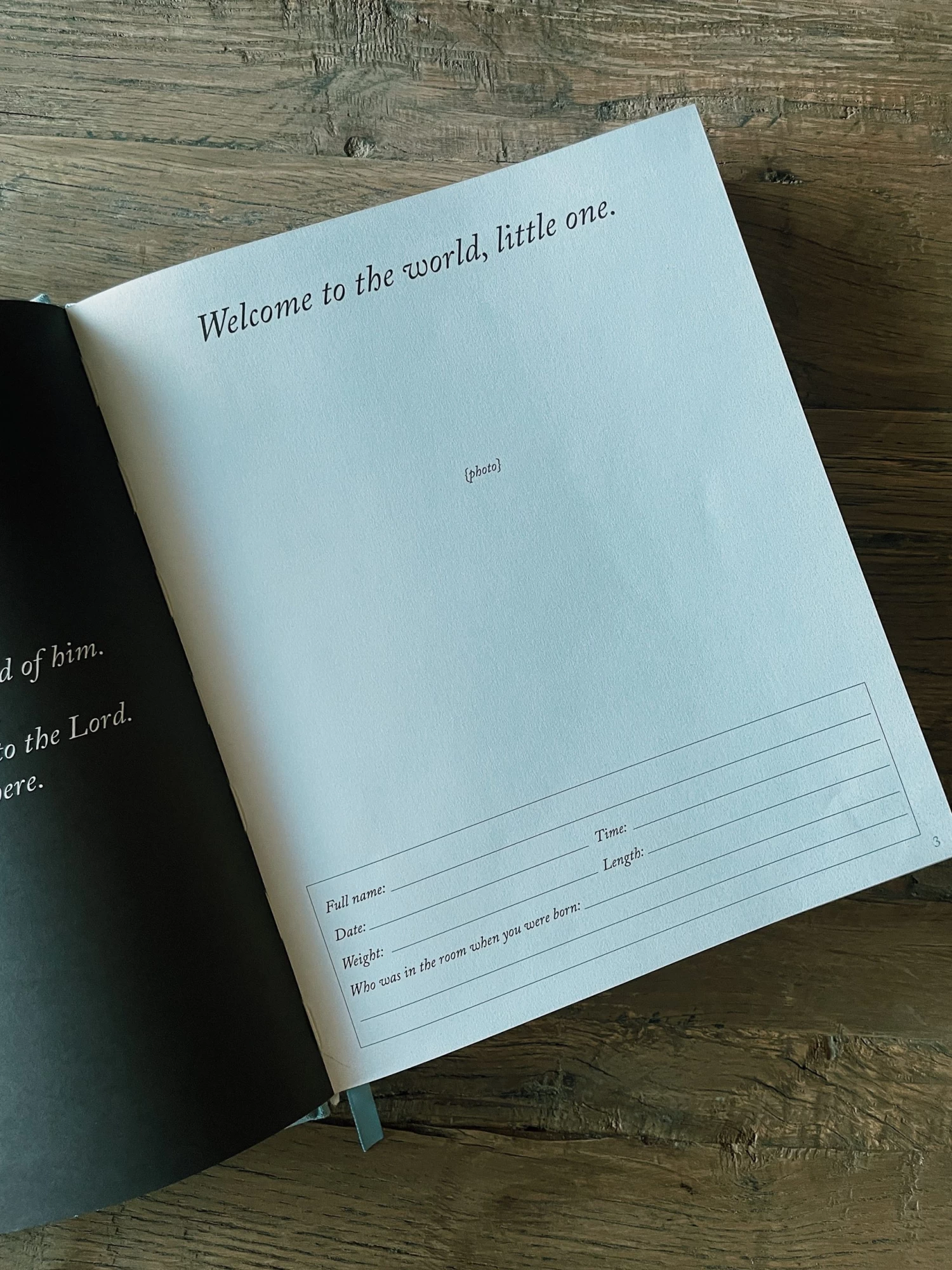 Duncan & Stone: Dear Daughter 5 Duncan & Stone: Dear Daughter - Image 5